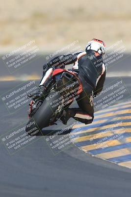 media/May-13-2023-SoCal Trackdays (Sat) [[8a473a8fd1]]/Turn 11 Backside (945am)/